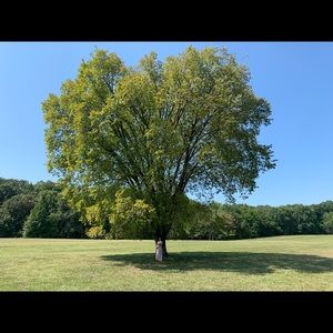 Meet your Posher, Felix